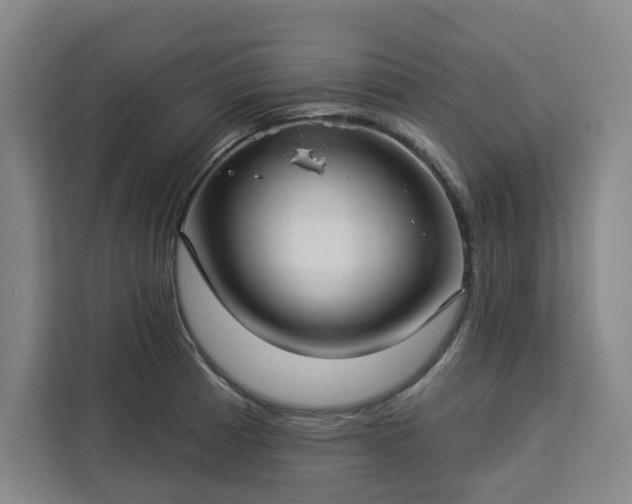 X0000112941185200908311443