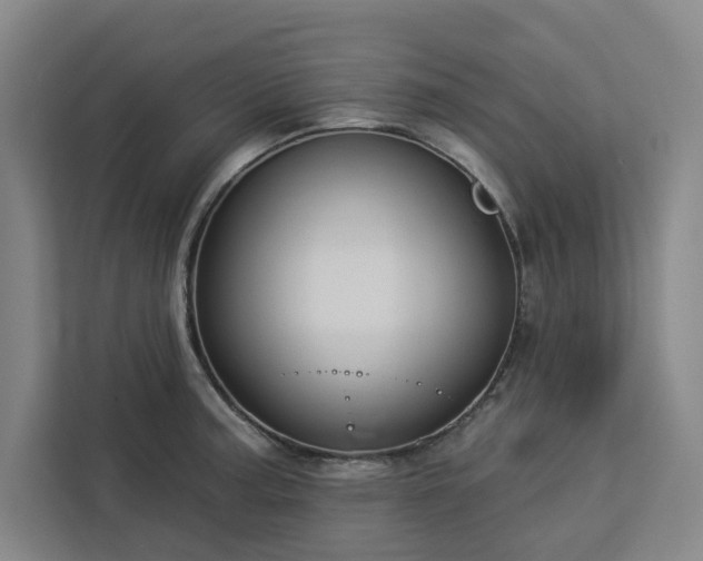X0000112941187200908311443
