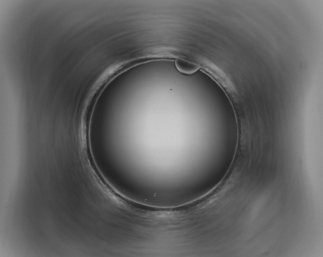 X0000112941188200908311443