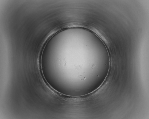 X0000112941189200908311443