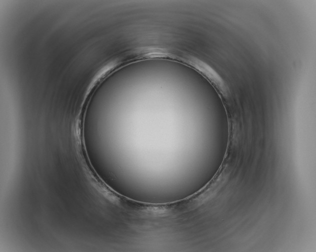 X0000112941190200908311443