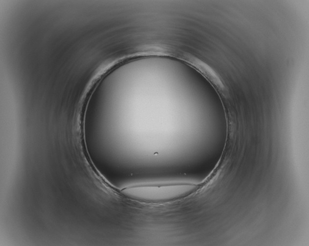 X0000112941192200908311443