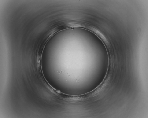 X0000112941193200908311443