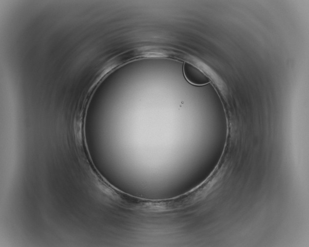 X0000112941194200908311443
