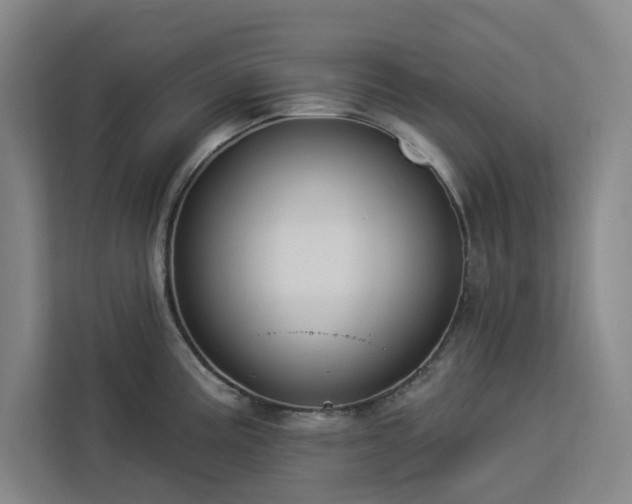 X0000112941195200908311443