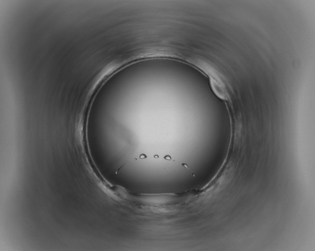 X0000112941197200908311443