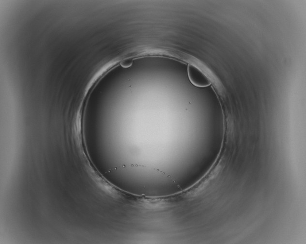 X0000112941198200908311443