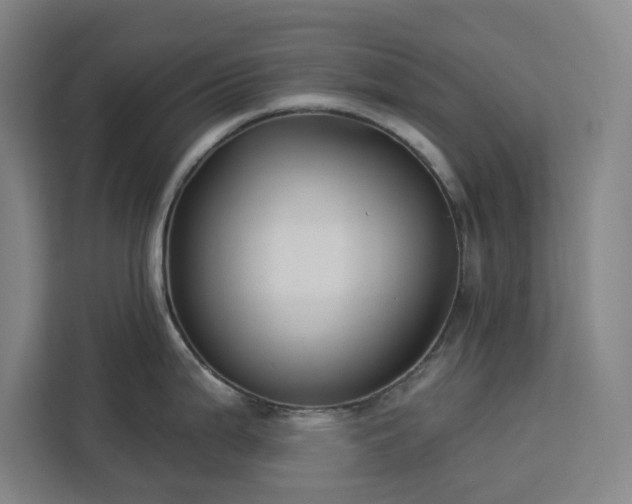 X0000112941199200908311443