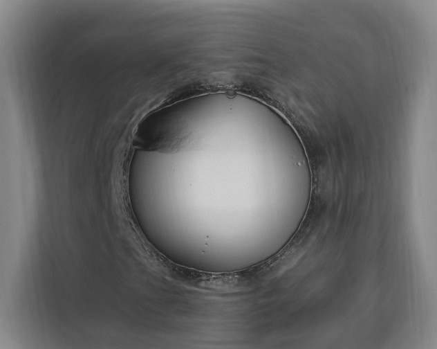 X0000112941201200908311442