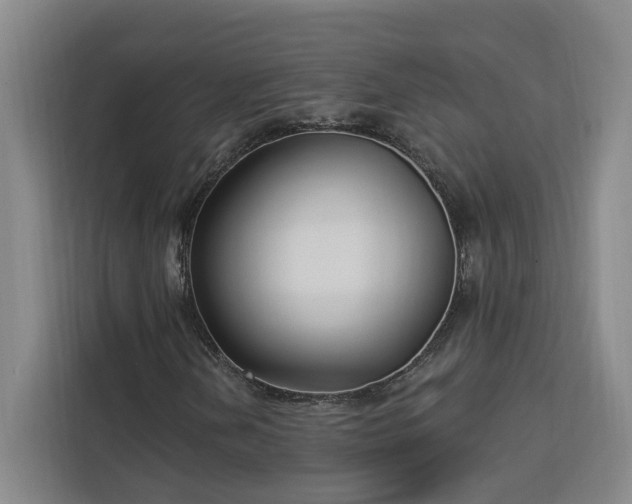 X0000112941202200908311442