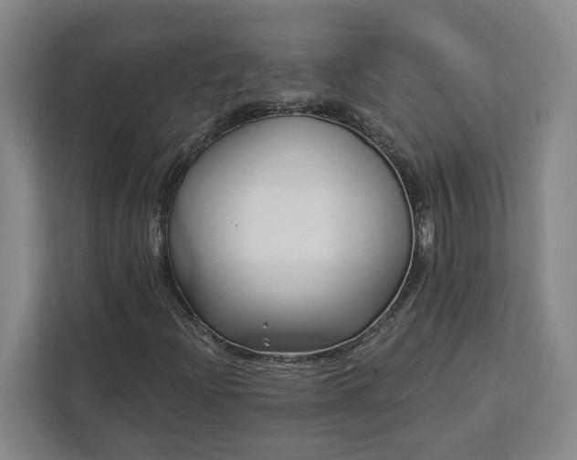 X0000112941204200908311442