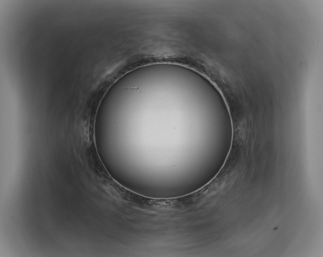 X0000112941205200908311442