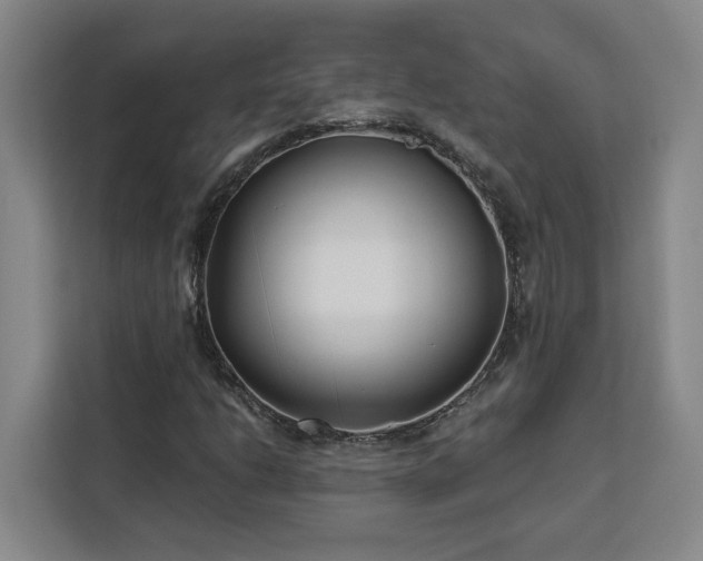 X0000112941206200908311442