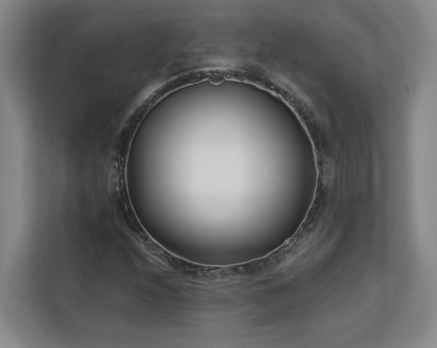 X0000112941208200908311442