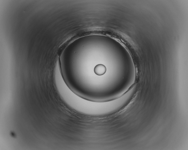 X0000112941209200908311442