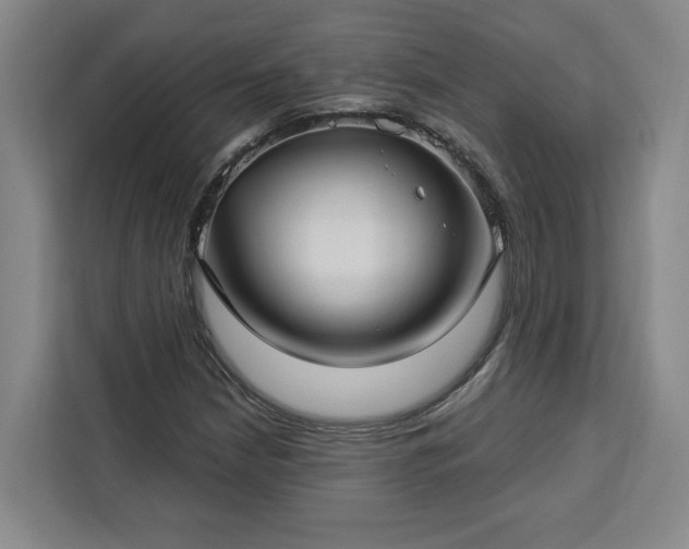 X0000112941210200908311442