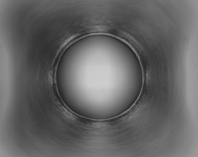 X0000112941212200908311442