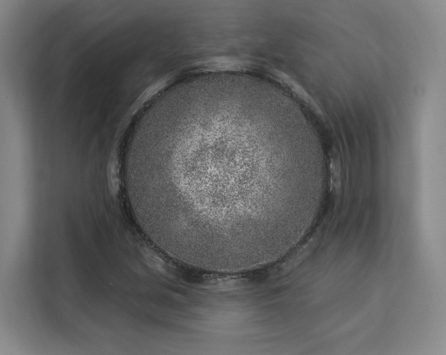 X0000112941213200908311442
