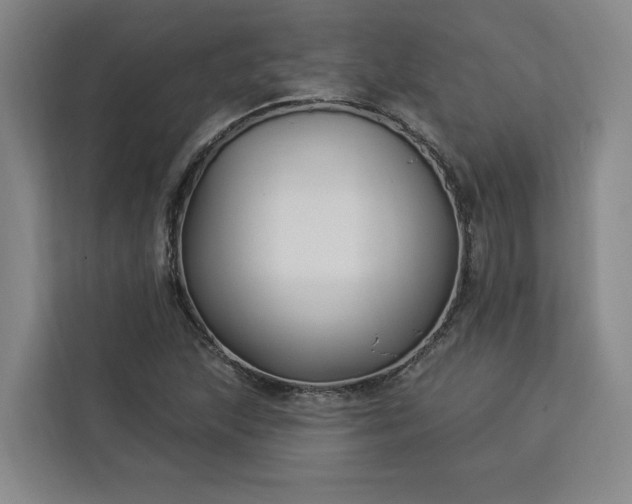 X0000112941215200908311442