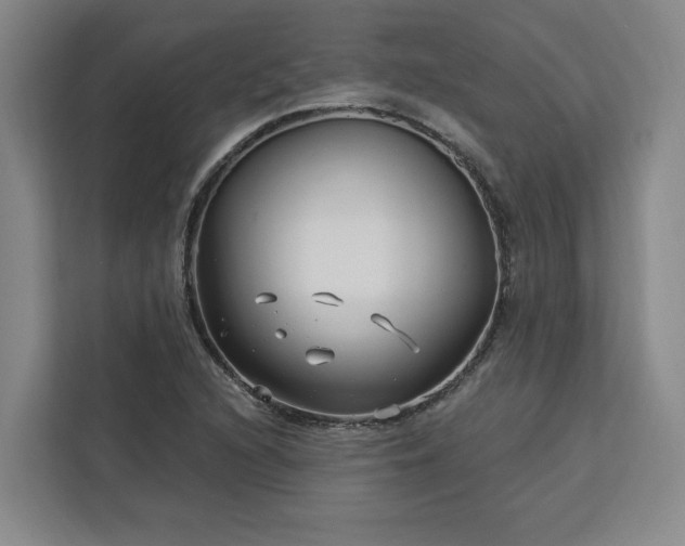 X0000112941216200908311442