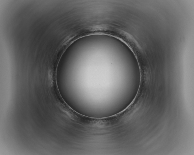 X0000112941217200908311442
