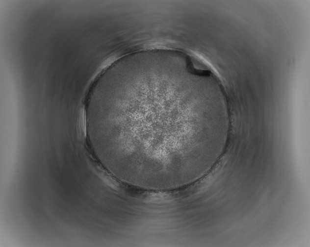 X0000112941219200908311442