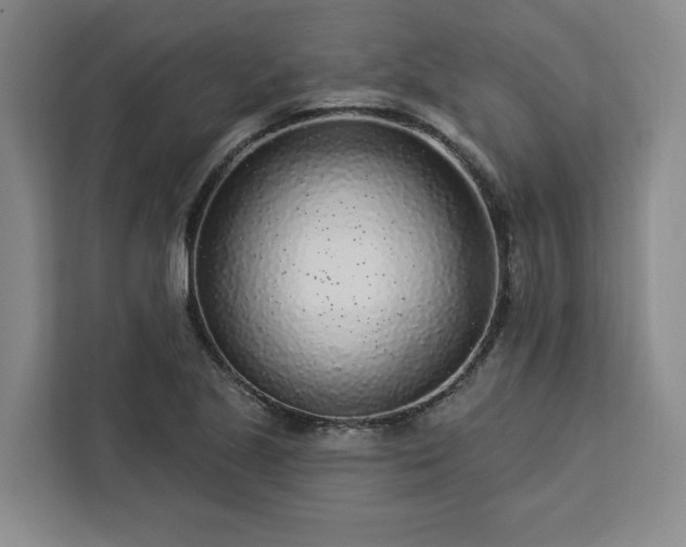 X0000112941221200908311442