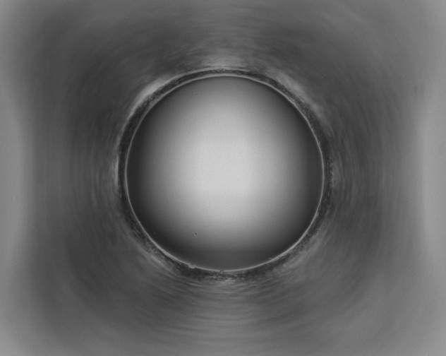X0000112941222200908311442