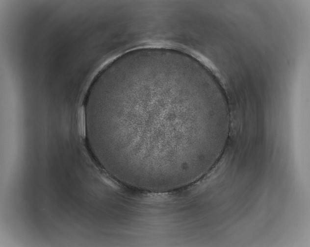 X0000112941223200908311442