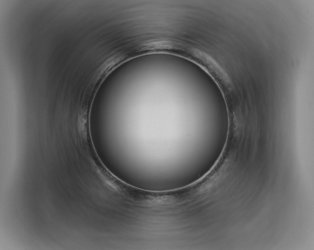 X0000112941225200908311442