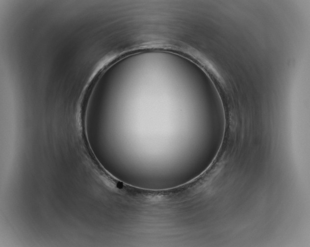 X0000112941230200908311442
