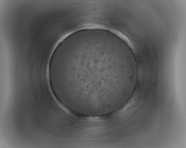 X0000112941231200908311442