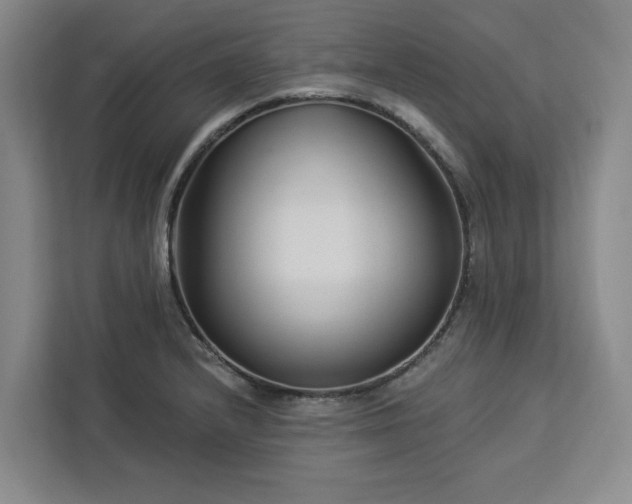 X0000112941232200908311442