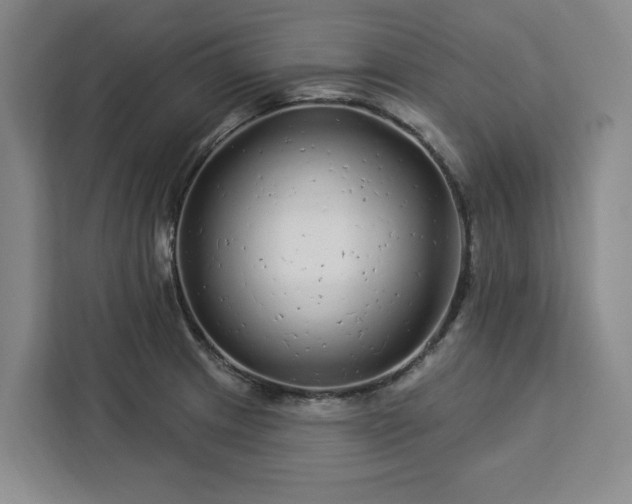 X0000112941233200908311442