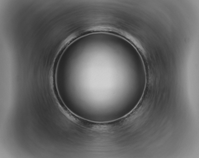 X0000112941237200908311443