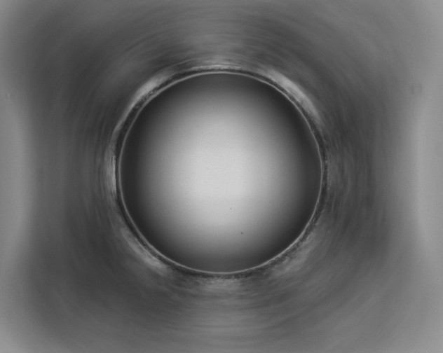 X0000112941238200908311443