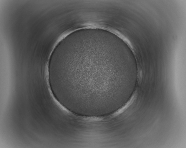 X0000112941239200908311443