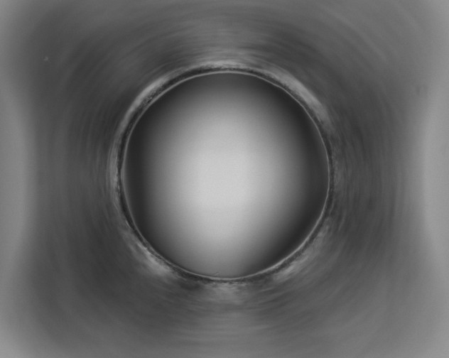 X0000112941240200908311443
