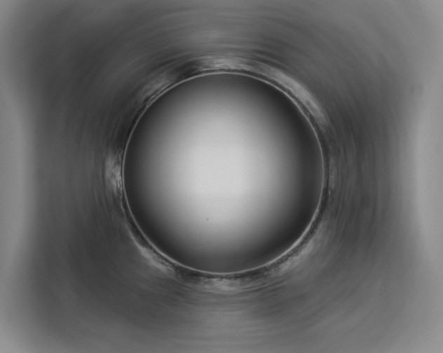 X0000112941241200908311443