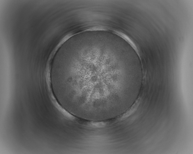 X0000112941243200908311443
