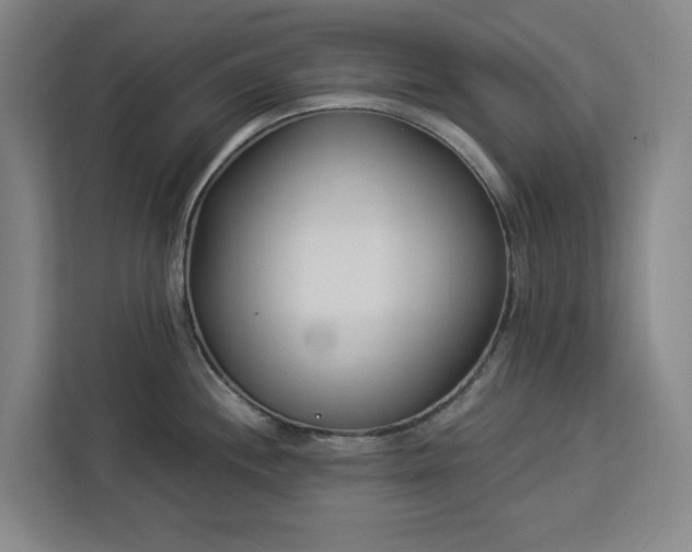 X0000112941244200908311443