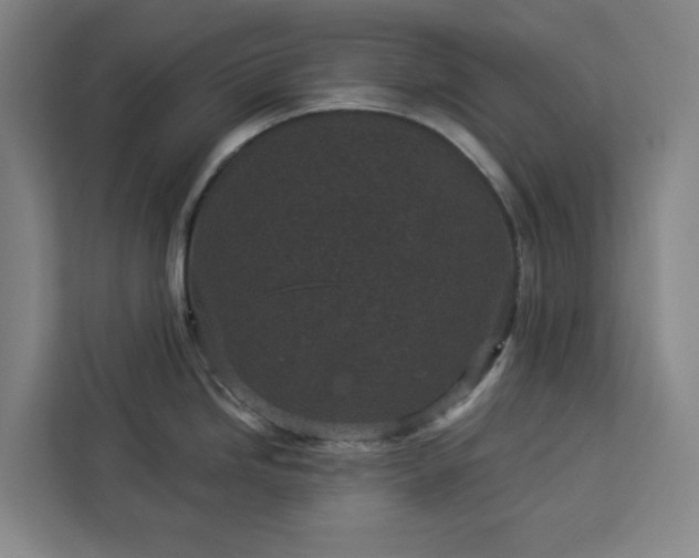 X0000112941246200908311443