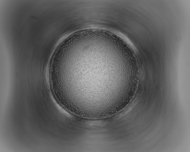 X0000112941247200908311443