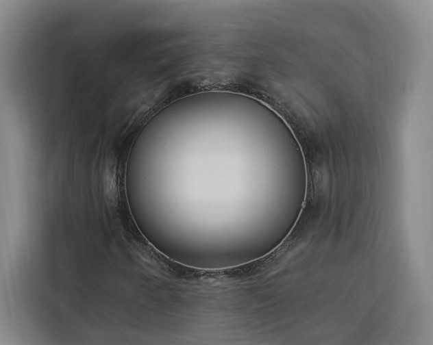 X0000112941250200908311442