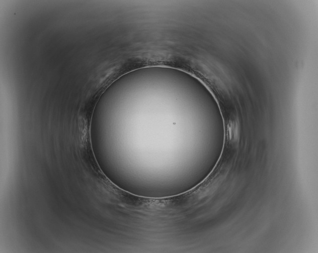 X0000112941251200908311442