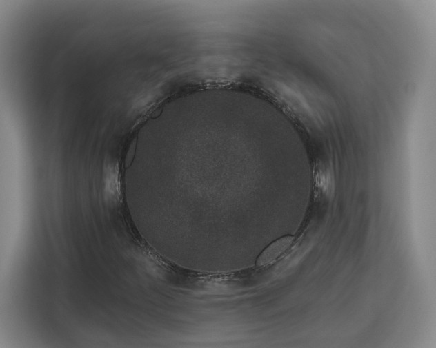 X0000112941252200908311442
