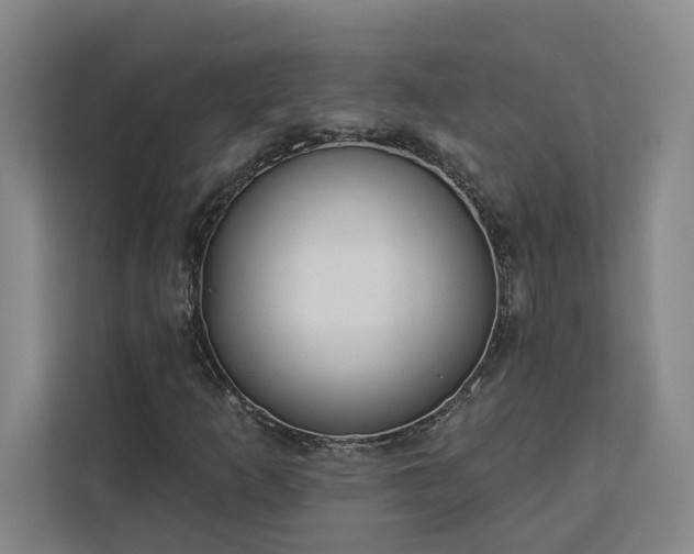 X0000112941253200908311442