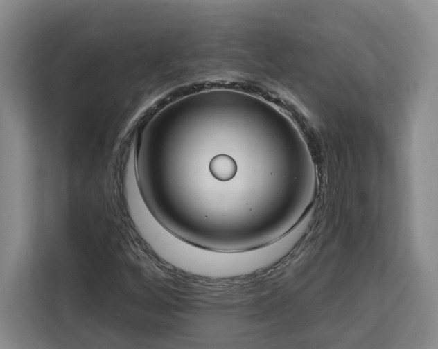 X0000112941256200908311442