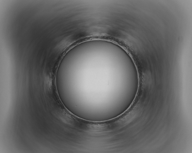 X0000112941257200908311442