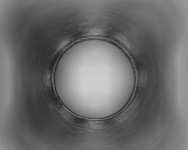 X0000112941258200908311442